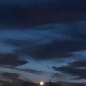 Meet your Posher, Daisy